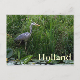 Reiger Briefkaart