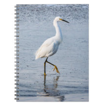 Reiger Fijne Kunst Foto