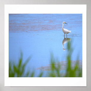 Reiger Foto Poster