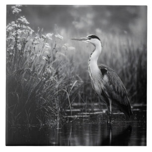 Reiger in het moeras Zwart en Wit Tegeltje
