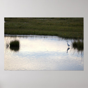 Reiger in Water Poster