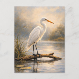 Reiger Kustwildlife Ansichtkaart Briefkaart