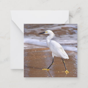 Reiger op het strand mini notitiekaartenset notitiekaartje