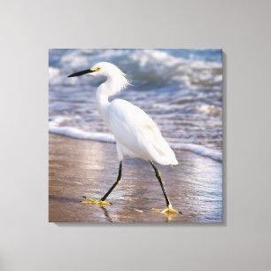 Reiger op strand Canvas Afdruk