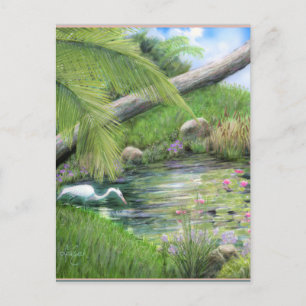 Reiger op vijver briefkaart