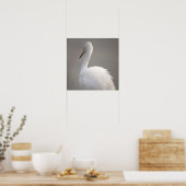 Reiger Vogel Poster (Keuken)