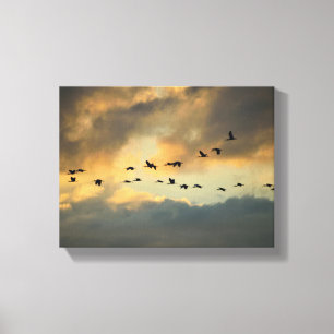 Reiger vogels migreren bij zonsondergang canvas afdruk