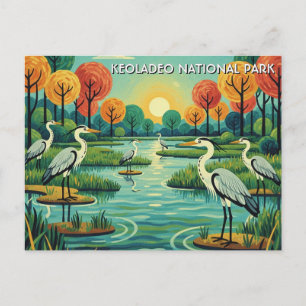 Reigers in Keoladeo National Park India Reizen Briefkaart