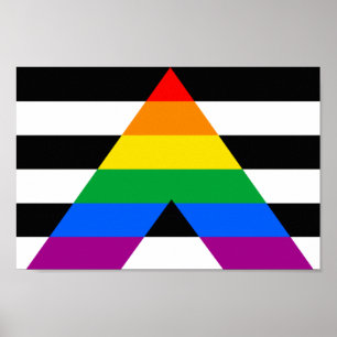 Reight Ally Flag Poster