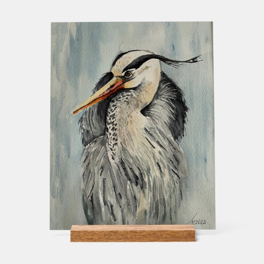 Reiher Aquarell (Recto)