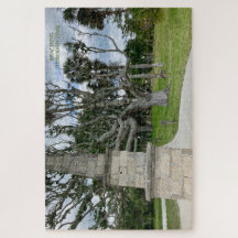 Reiken door de tijd - stille Ember-puzzels