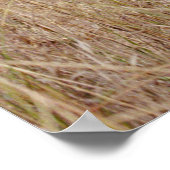 Reiki Principles with Meditating Woman Poster (Hoek)