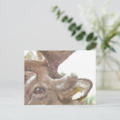 REINDEER BRIEFKAART (Staand voorkant)