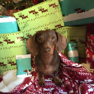 Reindeer Dachshund-kerstcadeaupapier Cadeaupapier
