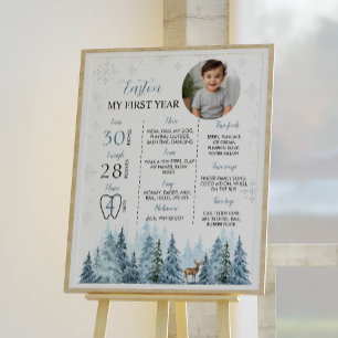 Reindeer d'hiver Anniversaire Photo Poster de l'ét