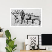 Reindeer Herd Alaska 1909 Poster (Thuiskantoor)