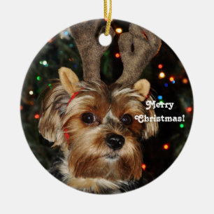Reindeer Horns Yorkshire Terrier, vrolijk kerstfee Keramisch Ornament