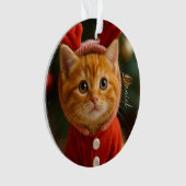 Reindeer Kitten (devant)