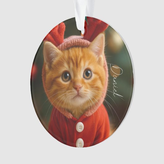 Reindeer Kitten (devant)