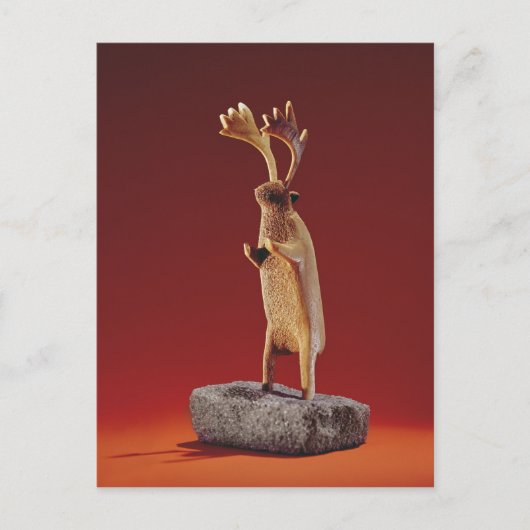Reindeer, van Cape Dorset Briefkaart (Voorkant)