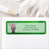 Reindekerst op groen etiket (Insitu)