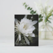 Reine de la nuit : Carte postale (Debout devant)