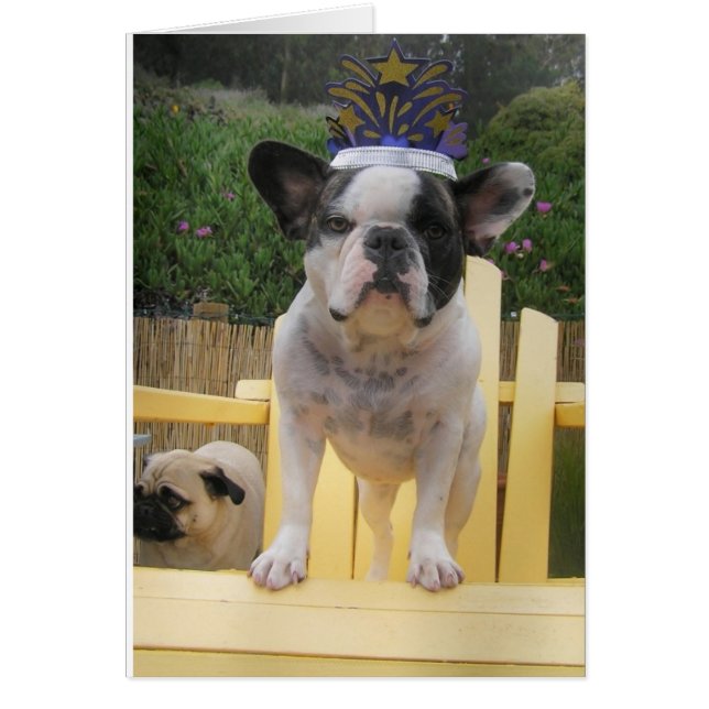 Reine des Bulldog français (Devant)