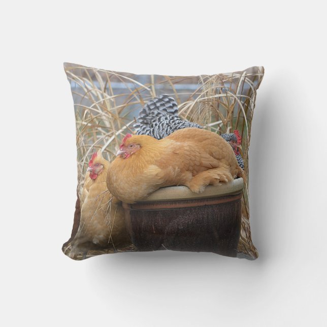 Reine Du Coussin Roost (Recto)