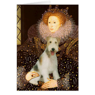 Reine Elizabeth I - Fil Fox Terrier #1