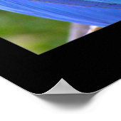 Reiniging Poster (Hoek)