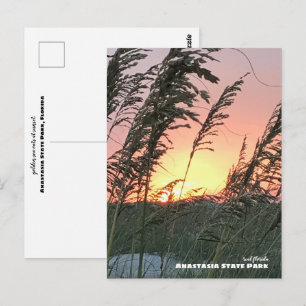 Reis   Florida - Anastasia Zee Oat Sunset Briefkaart