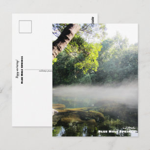 Reis Florida - Blue Hole Springs Foggy Morning Briefkaart