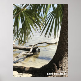 Reis | Florida - Cape San Blas Driftwood Poster