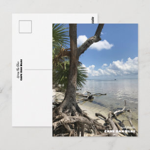 Reis   Florida - Cape San Blas-strand Briefkaart
