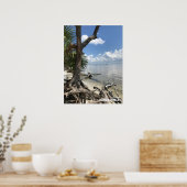Reis | Florida - Cape San Blas-strand Poster (Keuken)