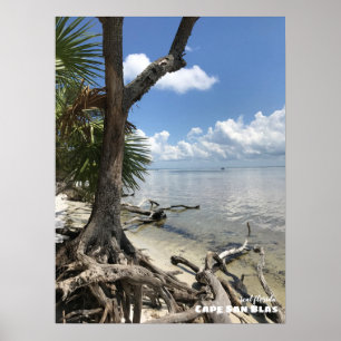Reis Florida - Cape San Blas-strand Poster