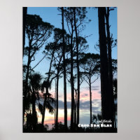 Reis | Florida - Kaapse zonneschermen