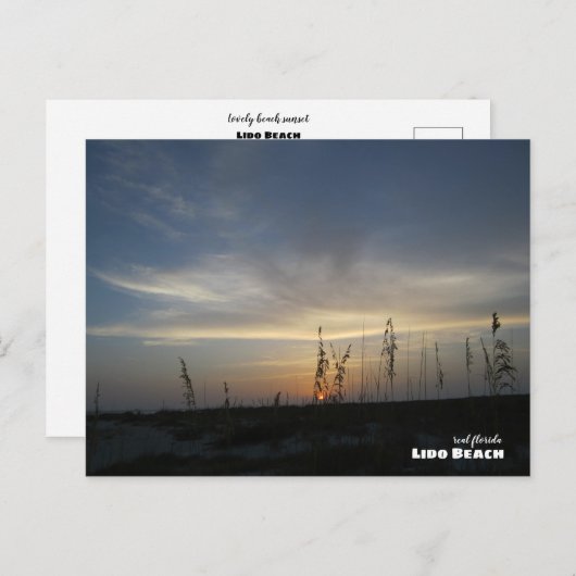 Reis | Florida - Lido Beach Sunset Briefkaart (Voorkant / Achterkant)