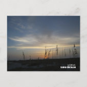 Reis | Florida - Lido Beach Sunset Briefkaart (Voorkant)