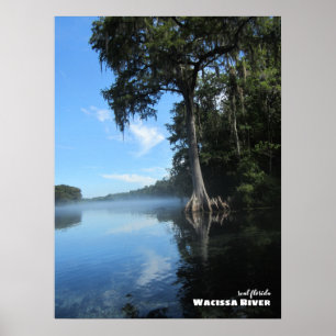 Reis Florida - Oude Cypress-boom, de rivier de W Poster