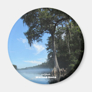 Reis   Florida - Wacissa River Cypress Magneet