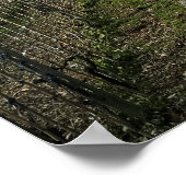 Reis | Italië - Monterosso Winter Wineyard Poster (Hoek)