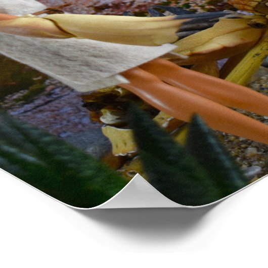 Reis naar het jachtterrein. poster (Hoek)