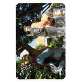 Reis naar het Westen [Monkey Magic] Magneet (Verticaal)