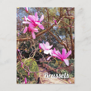 Reisfoto Brussel België Briefkaart