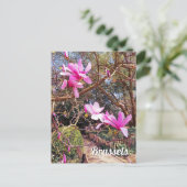 Reisfoto Brussel België Briefkaart (Staand voorkant)