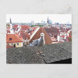 Reisfoto. Estland, Tallinn Briefkaart