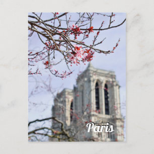 Reisfoto Parijs Frankrijk Briefkaart