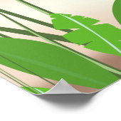 Reisposter Qalito Fiji Poster (Hoek)