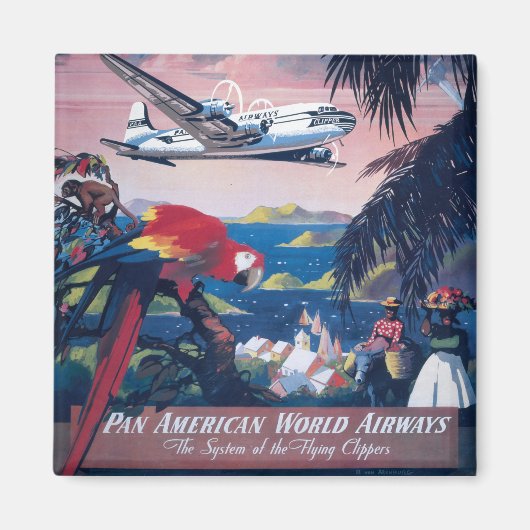 Reisposter van watervliegtuig vliegend over Caribi Magneet (Voorkant)